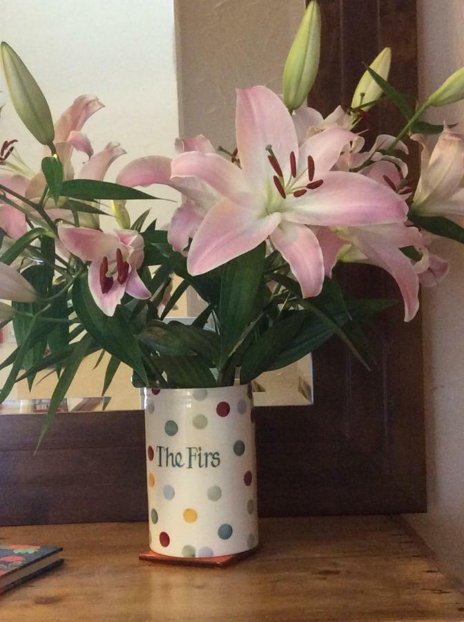 The Firs At Hay-On-Wye B&B Екстер'єр фото